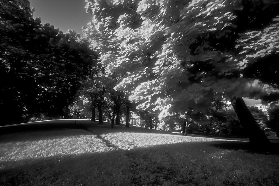 Infrared lincoln park Photograph by Sven Brogren