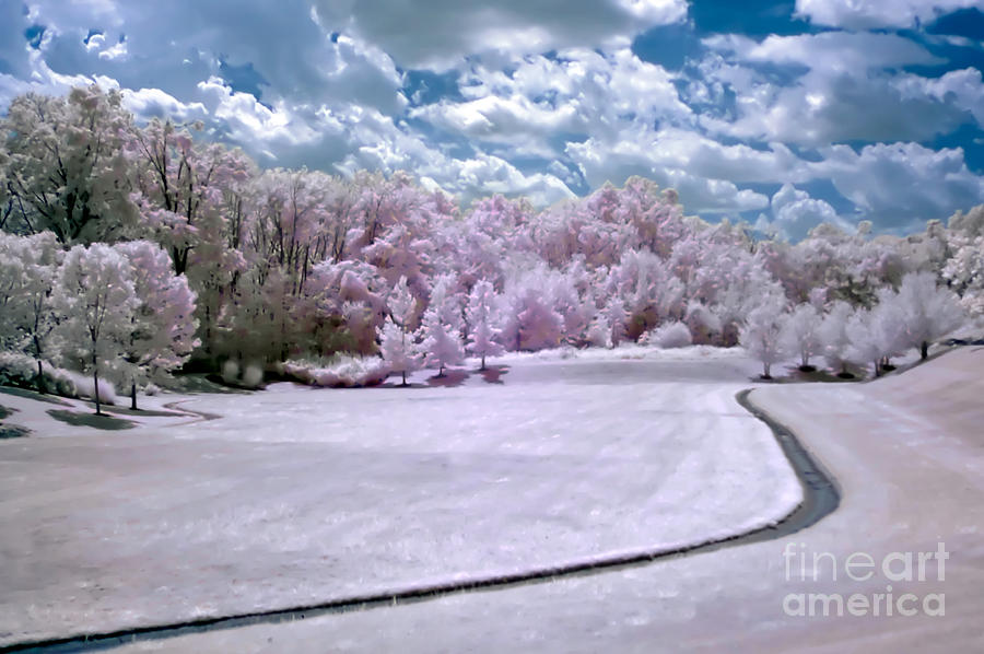 Infrared Meadow Photograph by Anthony Sacco