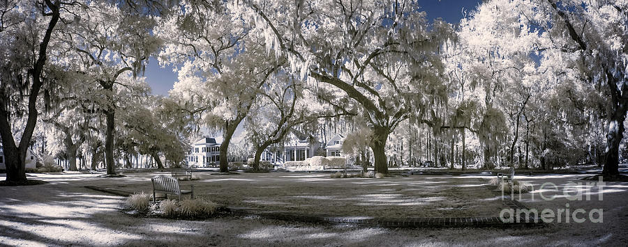 Tree Photograph - Infrared Park Landscape by John Wollwerth