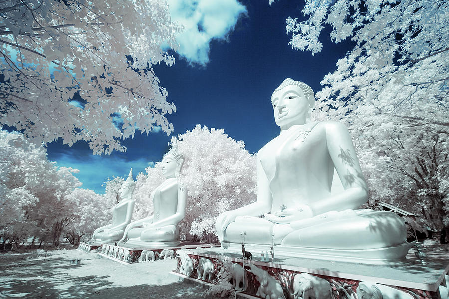 Infrared Photo Buddha Statue Photograph by Monthon Wa