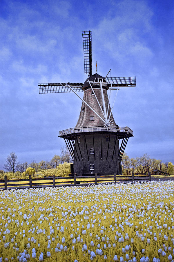 Infrared Photo of the deZwaan Dutch Windmill on Windmill Island in Holland Michigan Photograph by Randall Nyhof