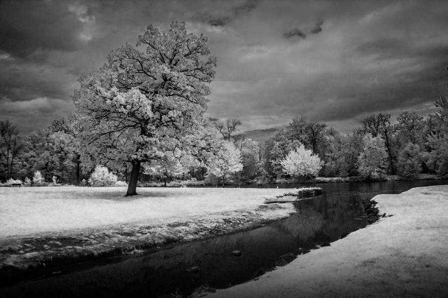 Infrared Photograph of the Flat River Photograph by Randall Nyhof