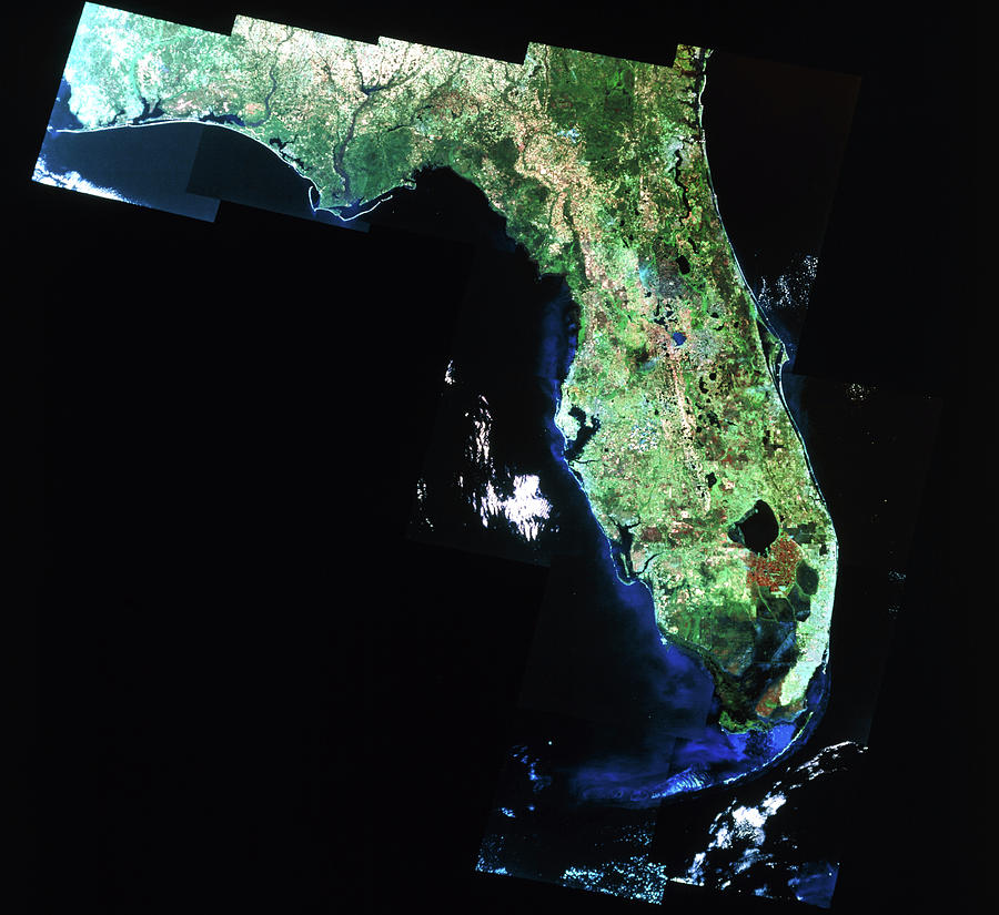 Infrared Satellite Image Of Florida State Photograph by Mda Information Systems/science Photo Library