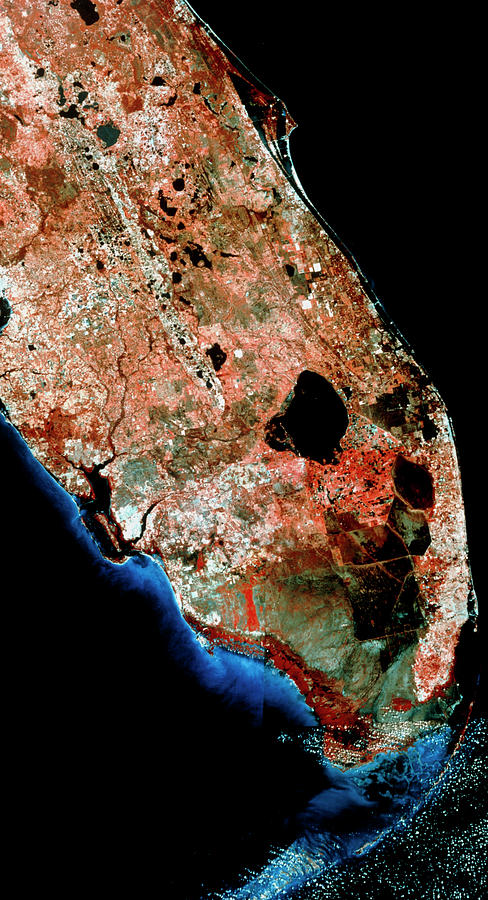 Infrared Satellite Image Of Southern Florida Photograph by Mda Information Systems/science Photo Library