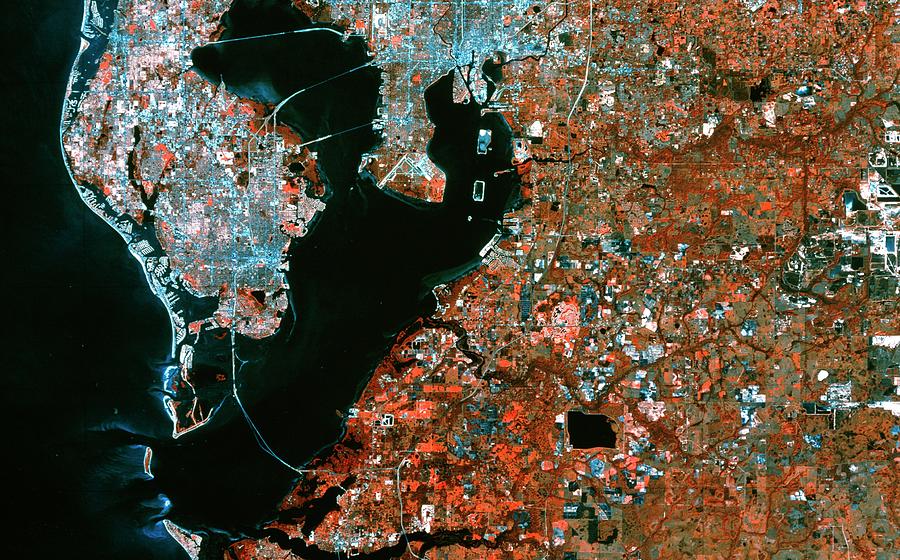 Infrared Satellite Image Of Tampa & St Petersburg Photograph by Mda ...