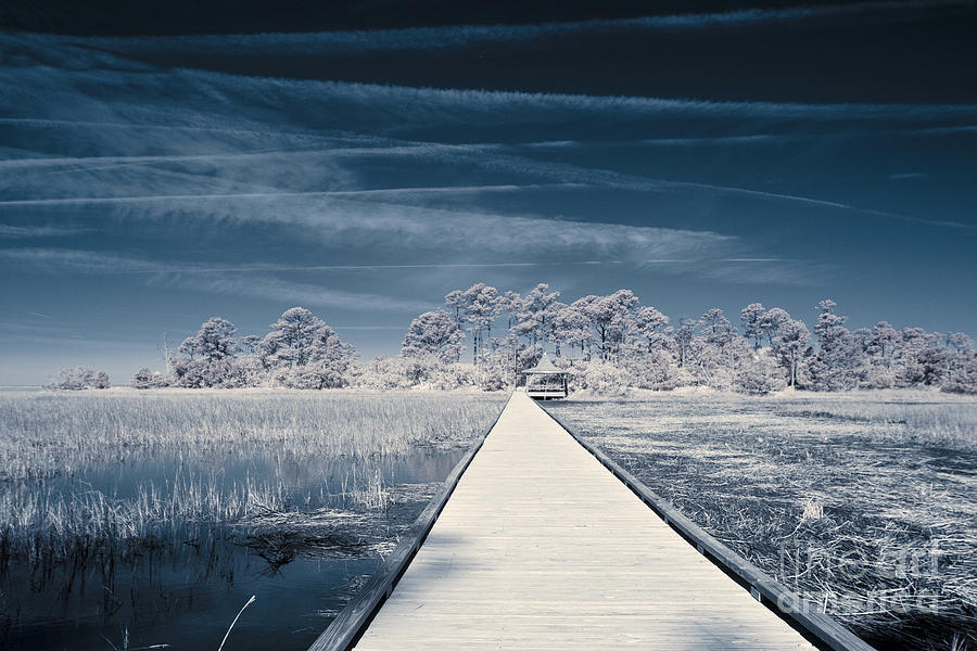 Bridge Photograph - Infrared Shot Of Path Over Water by John Wollwerth