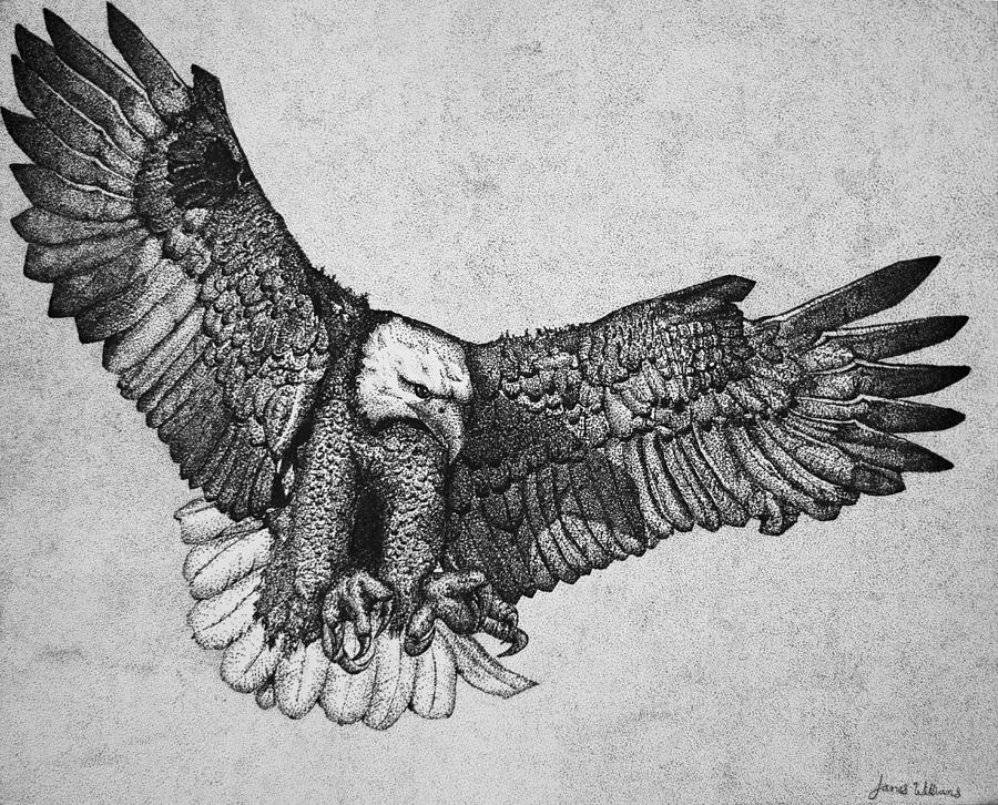 Eagle Drawing - Ink Eagle by James Williams