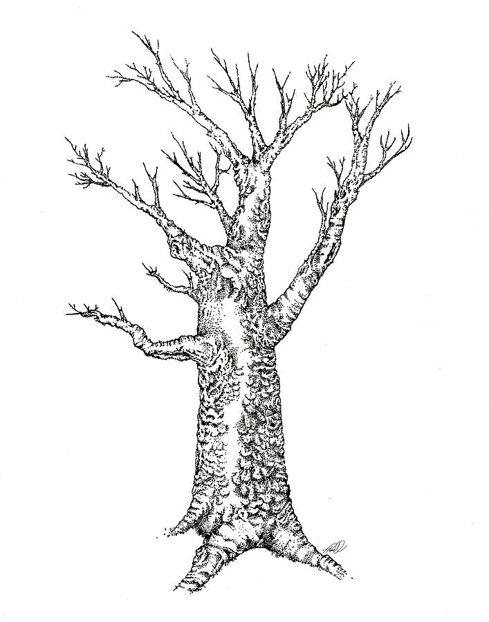 Black And White Photograph - Ink Tree by Tanya Hamell