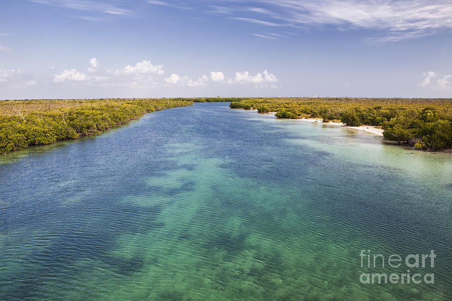 Jungle Photograph - Inlet leading to caribbean ocean by Bryan Mullennix
