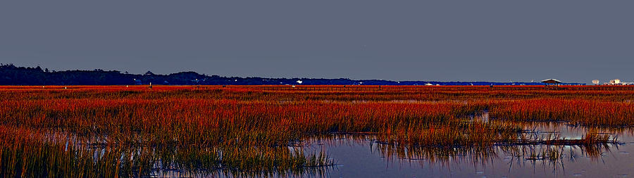 Inlet Marsh Photograph by Bill Barber