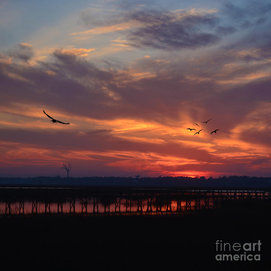 Inlet Sunset Throw Pillow Photograph by Kathy Baccari