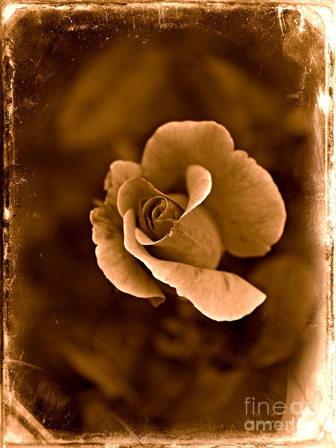 Vintage Photograph - Inner Beauty by Clare Bevan