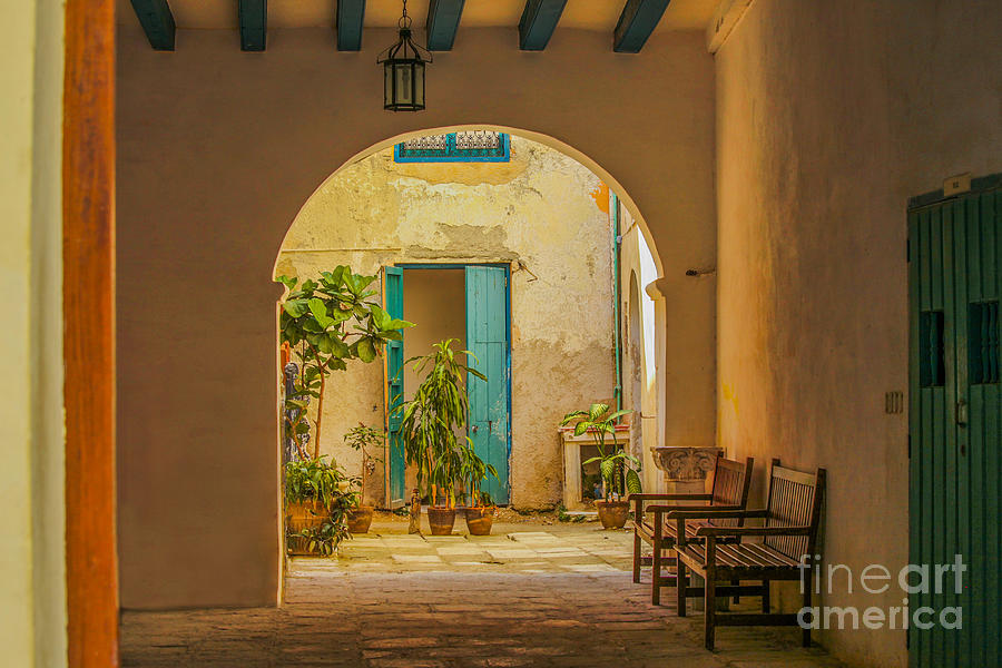 Inner courtyard in caribbean house Photograph by Patricia Hofmeester