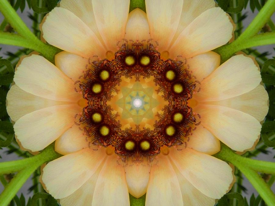 Inner Petal Flower Mandala Digital Art by Diane Lynn Hix