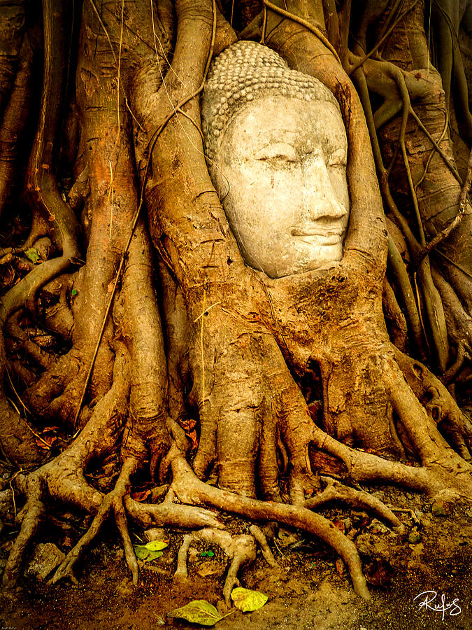 Ayutthaya Photograph - Inner Strength by Allan Rufus Ayutthaya Photograph - Inner Strength by Allan Rufus