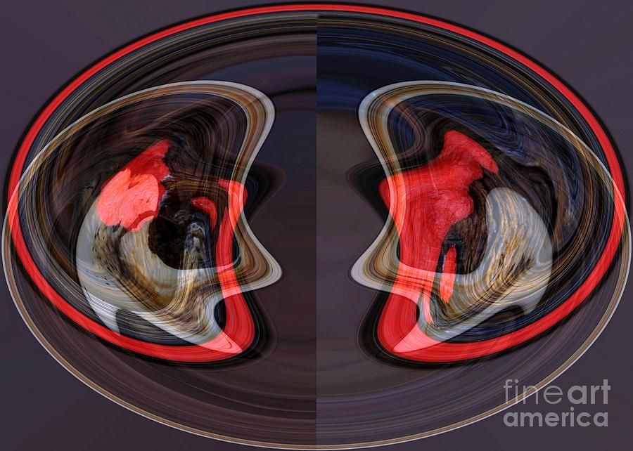 Abstract Photograph - Inner Workings by Rick Rauzi