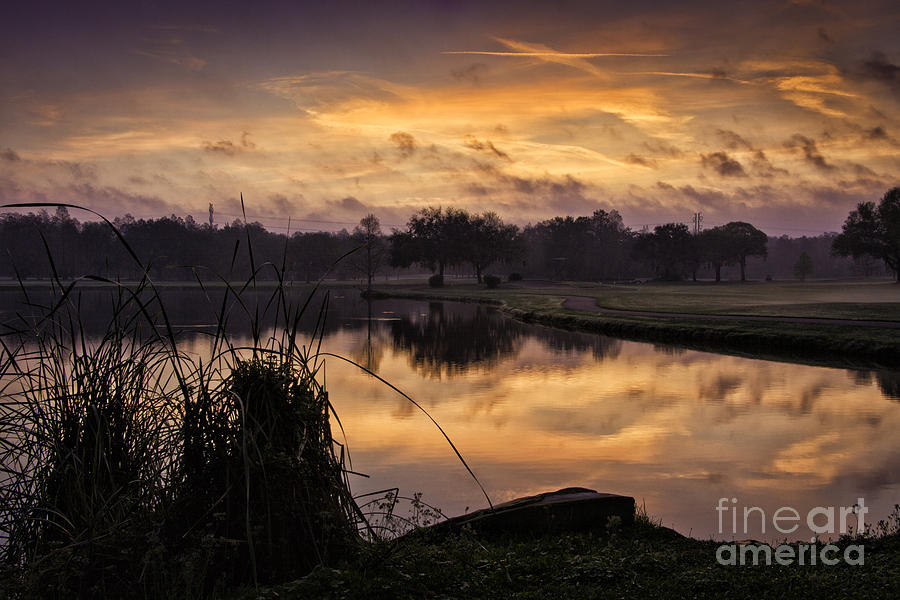 Innisbrook Sunrise Photograph by Timothy Hacker
