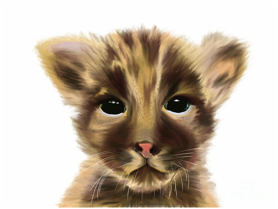 Cute Animal Panther Cub on a White Background Painting by Barefoot Bodeez Art