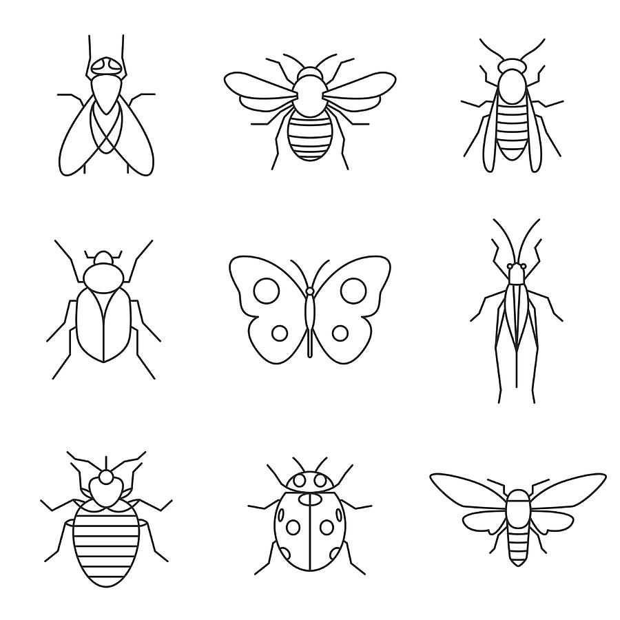 Insect Icons Drawing by Et-artworks
