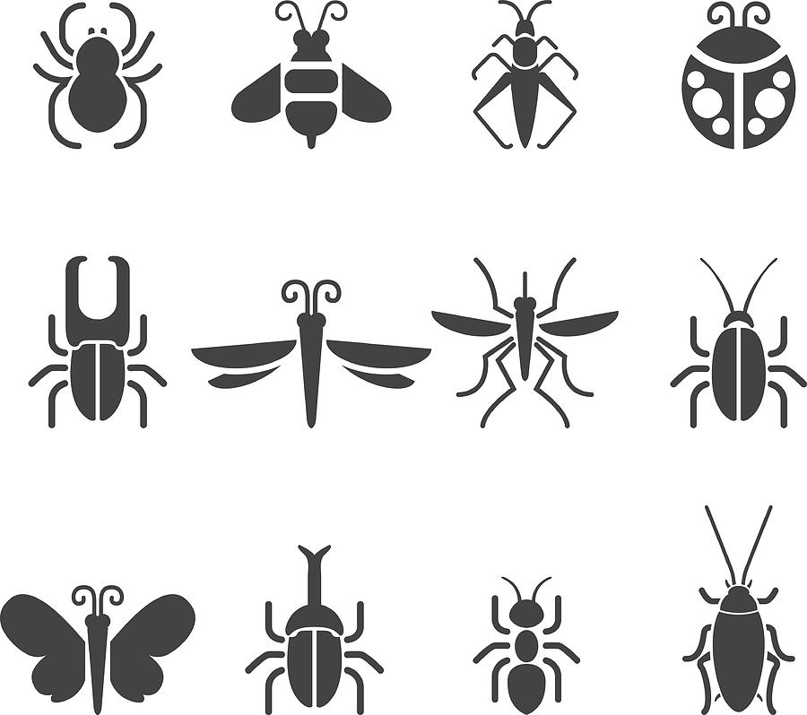 Insect Silhouette icons| EPS10 Drawing by LueratSatichob