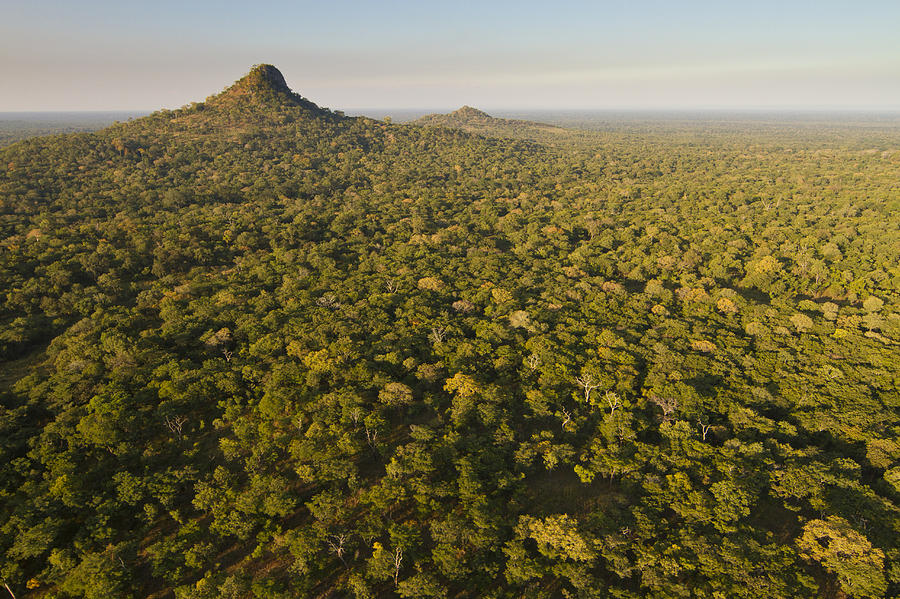 Inselbergs Rising Above Gorongosa Photograph by Piotr Naskrecki