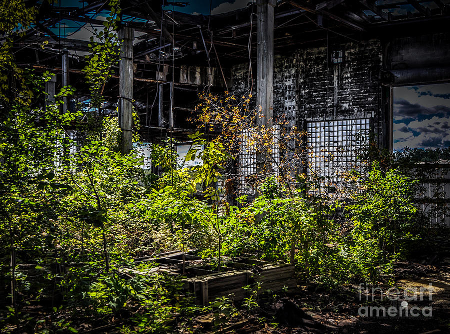 Inside an Abandon Building 2 Photograph by Ronald Grogan