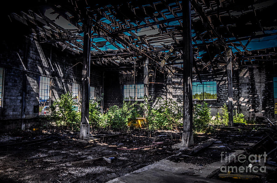 Inside an Abandon Building Photograph by Ronald Grogan