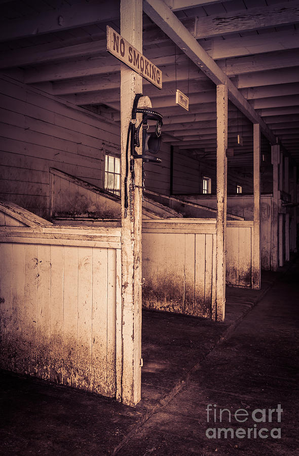 Inside an old horse barn Photograph by Edward Fielding