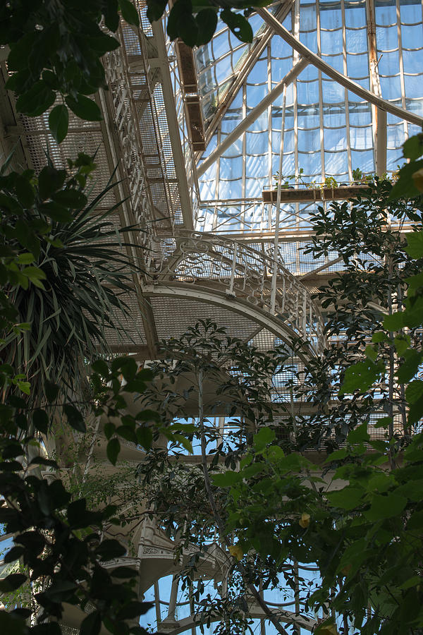 Architecture Photograph - Inside Beautiful Old Greenhouse by Frank Gaertner