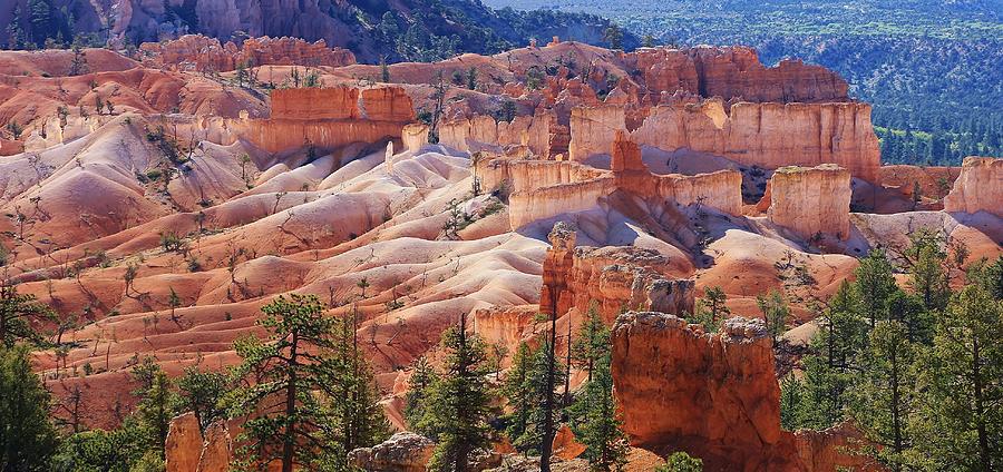 Bryce Canyon National Park Photograph - Inside Bryce Canyon by Bruce Bley