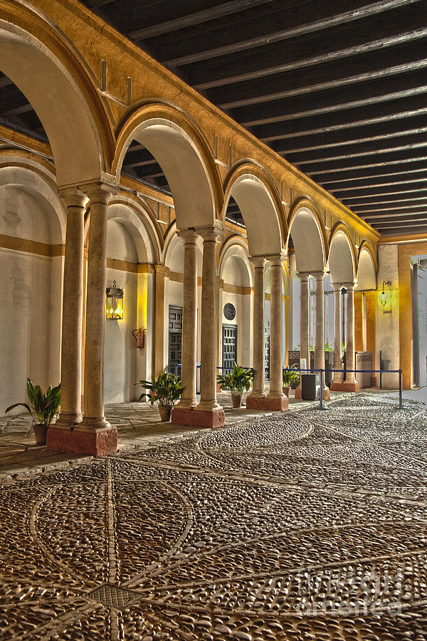 Inside the Alcazar Reales in Seville Photograph by Patricia Hofmeester