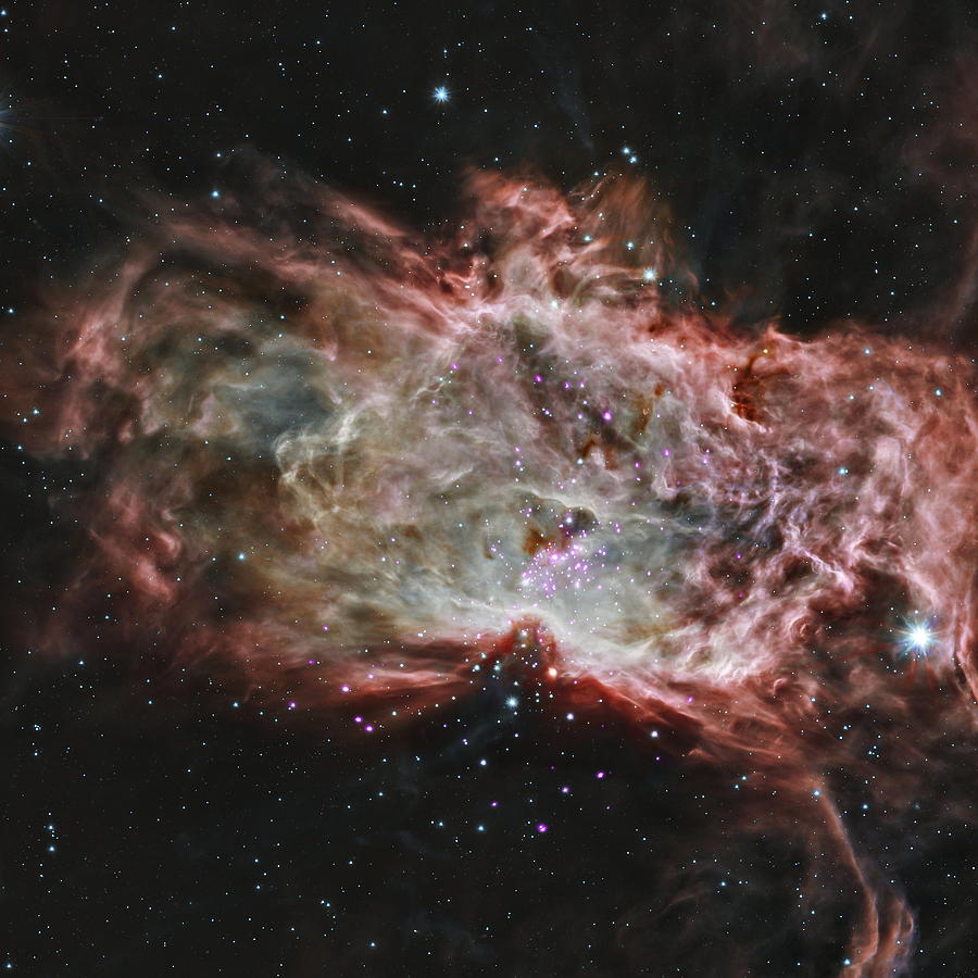 Inside the Flame Nebula Photograph by Eric Glaser