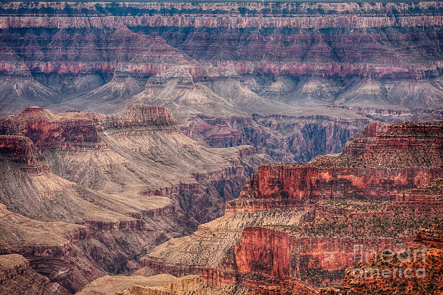 Grand Canyon Photograph - Inside the Grand Canyon  by James BO Insogna