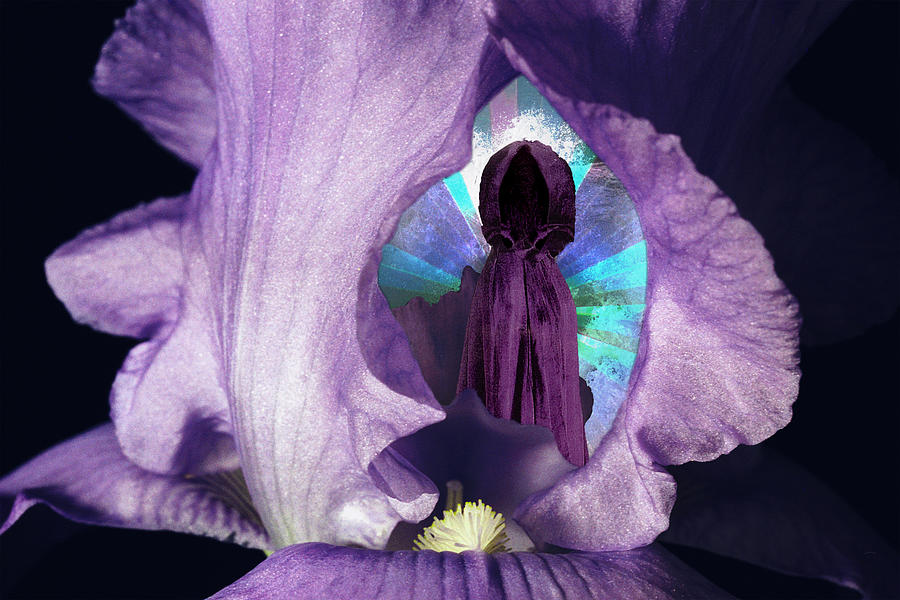 Iris Digital Art - Inside the Iris by Lisa Yount