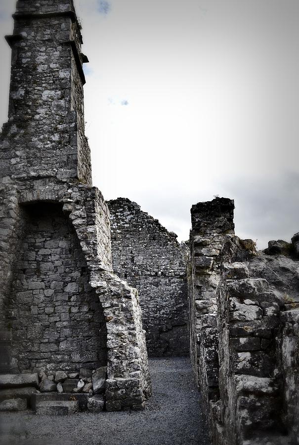 Inside the Walls at Clare Abbey Photograph by Nadalyn Larsen