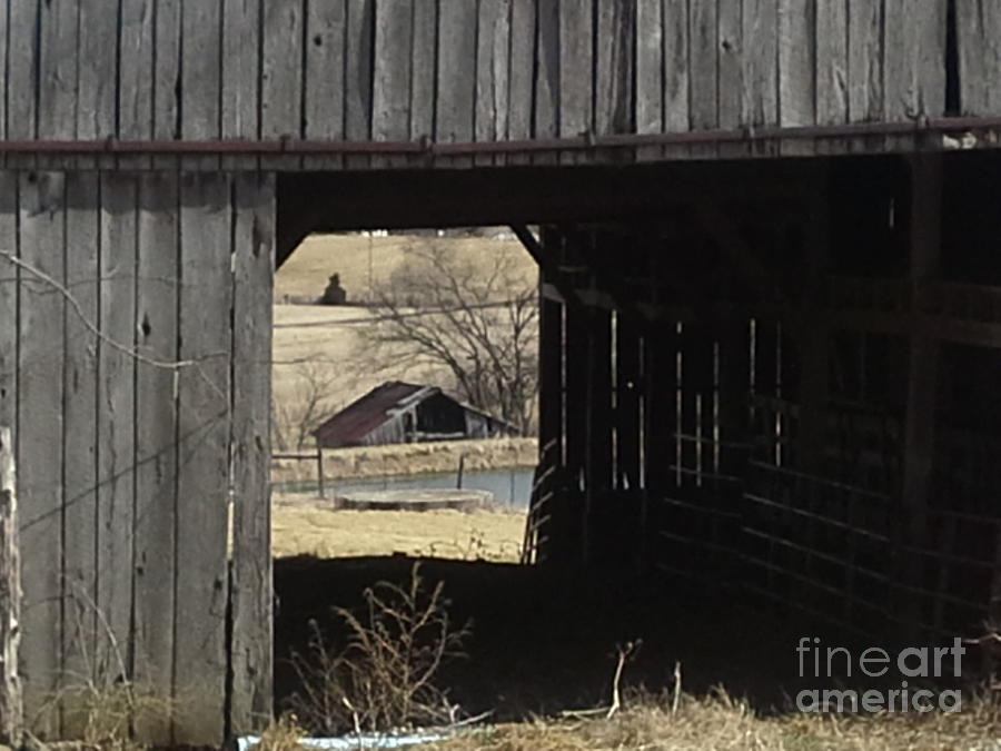 Architecture Photograph - Barn - Kentucky - Inside Treasure by Jan Dappen