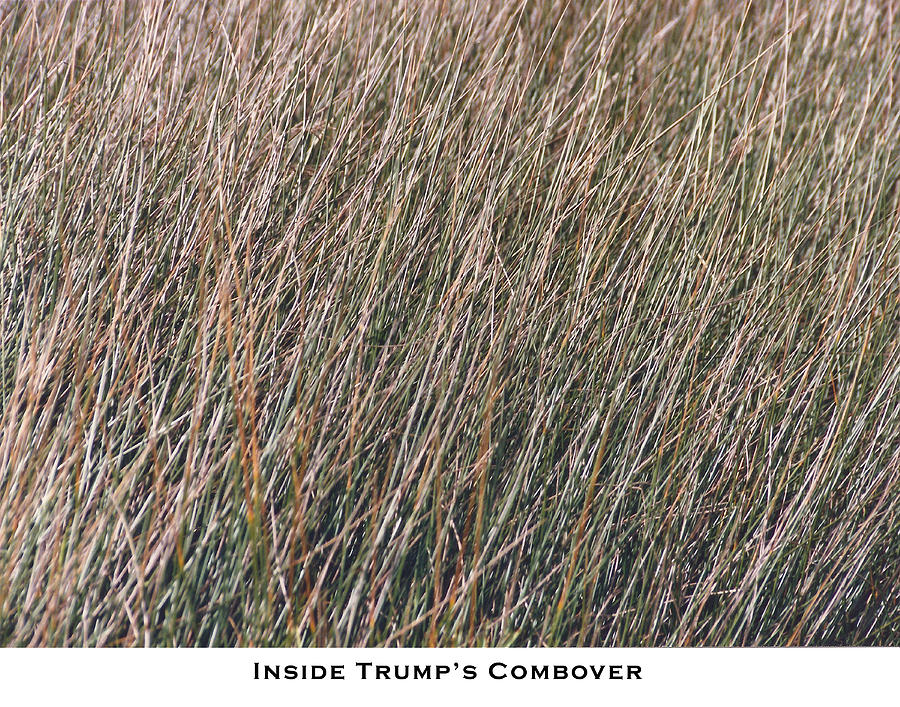 Donald Trump Photograph - Inside Trumps Combover by Lorenzo Laiken
