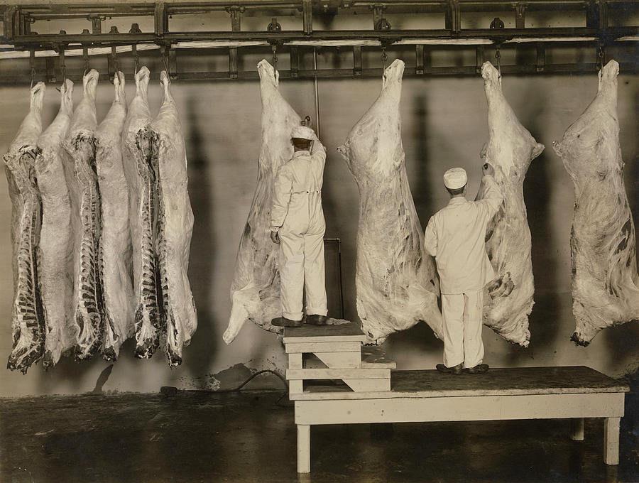 Inspection Of Animal Carcasses, 1910 Photograph by Stocktrek Images