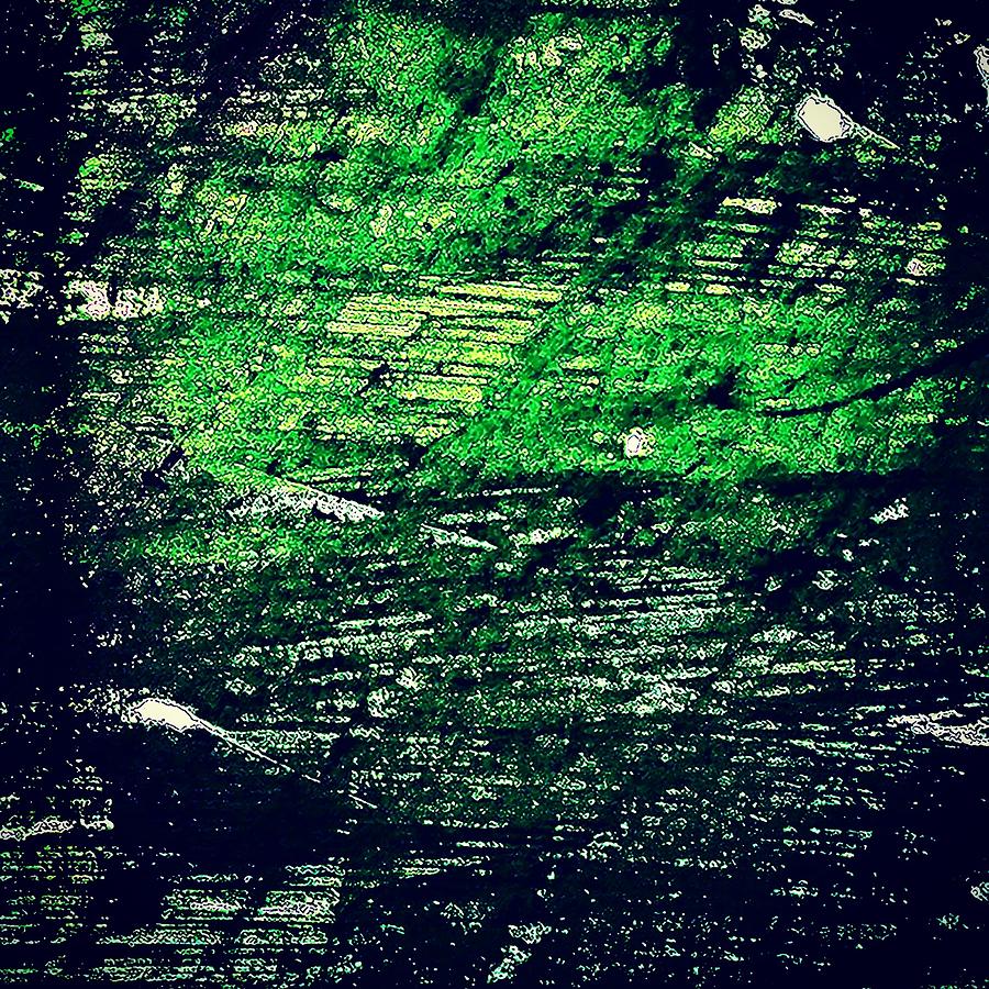 Abstract in Green Photograph by Jason Roust