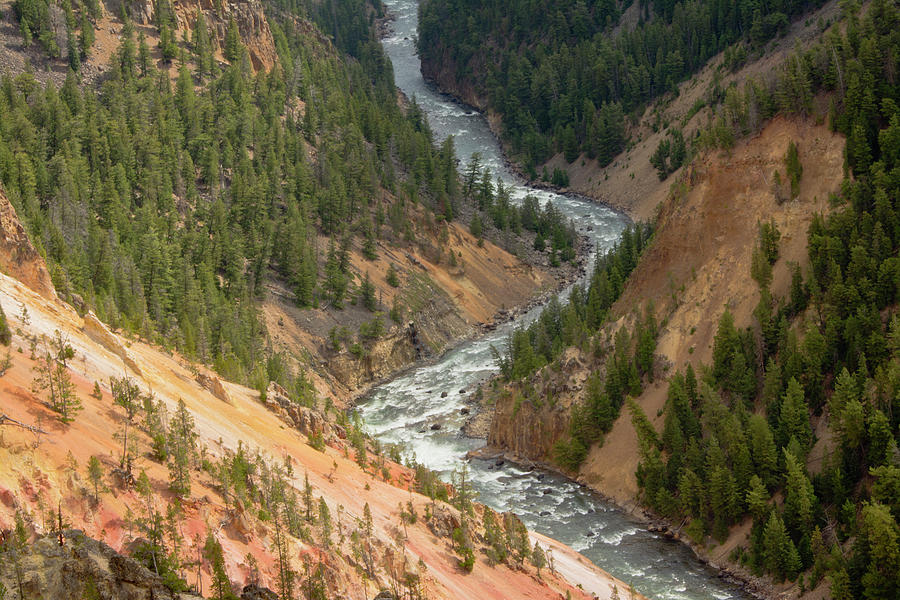 Yellowstone National Park Photograph - Inspiration Point, Yellowstone River by Michel Hersen