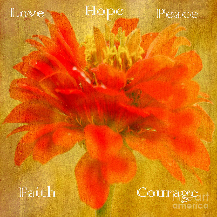 Inspirational Flower Artwork with Words Photograph by Carol F Austin