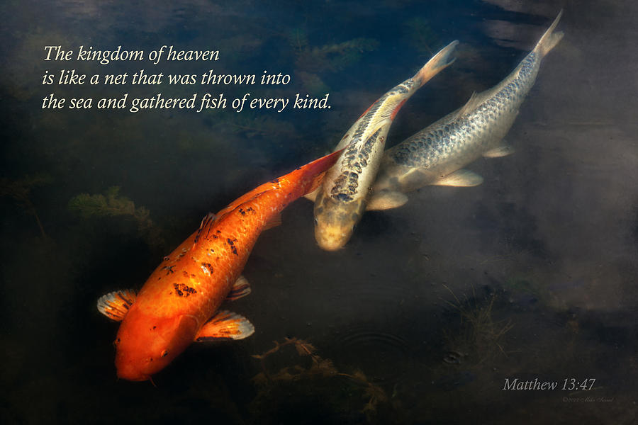 Fish Photograph - Inspirational - Gathering fish of Every kind - Matthew 13-47 by Mike Savad