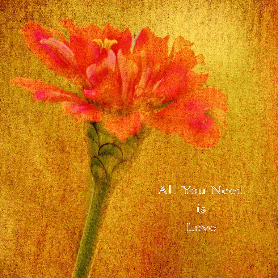 Inspirational Words All You Need is Love Photograph by Carol F Austin