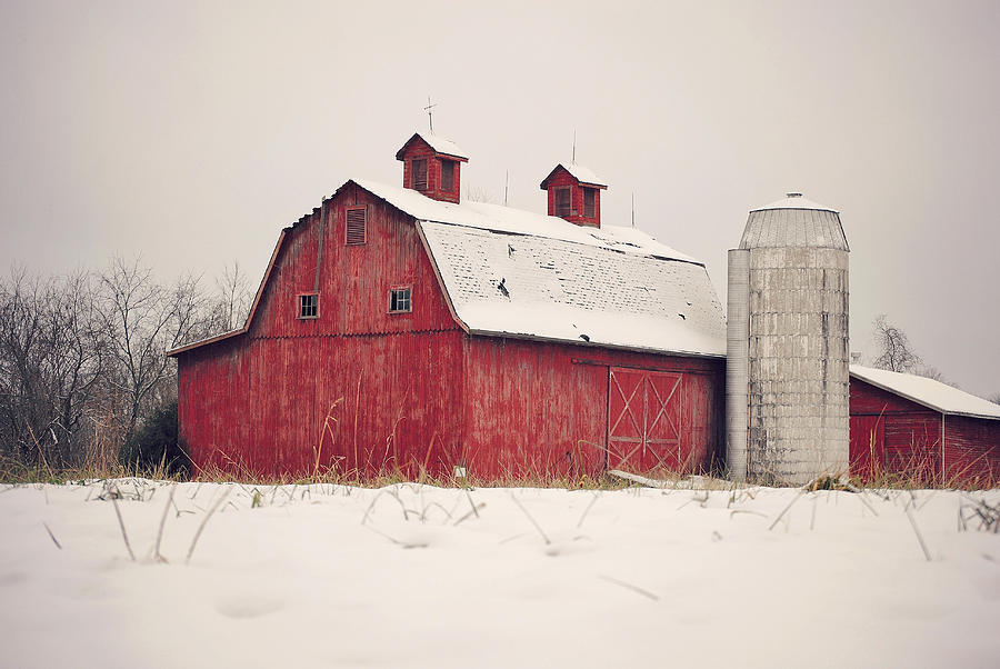 Winter Photograph - InspiRED by Amanda Lomonaco