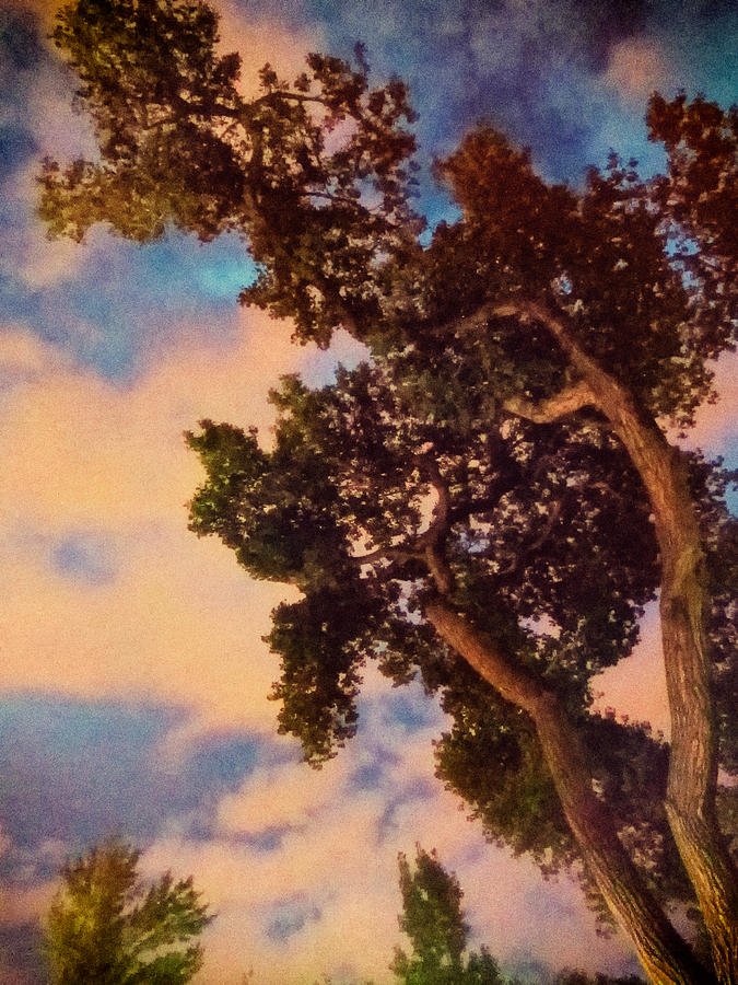 Inspired By Maxfield Parrish Photograph