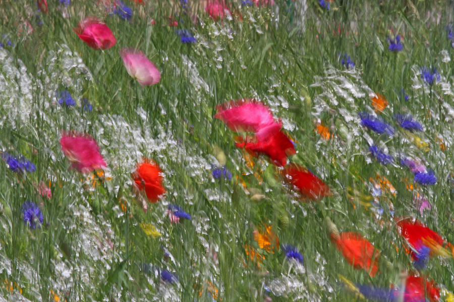 Impressionism Photograph - Inspired by Monet by Juergen Roth