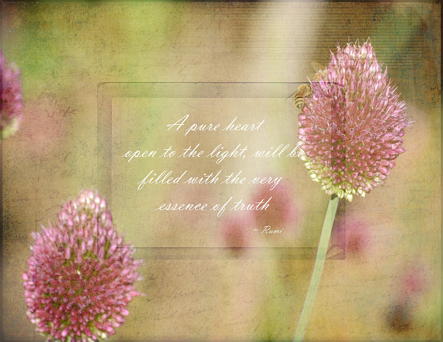 Inspired Pink Floral With Rumi Quote Photograph By P S Fine Art America