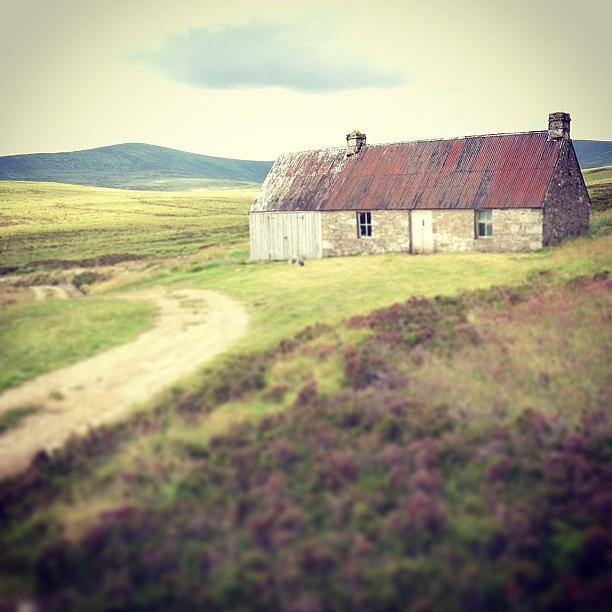 Farm Photograph - Instagram Photo by Alex Nagle