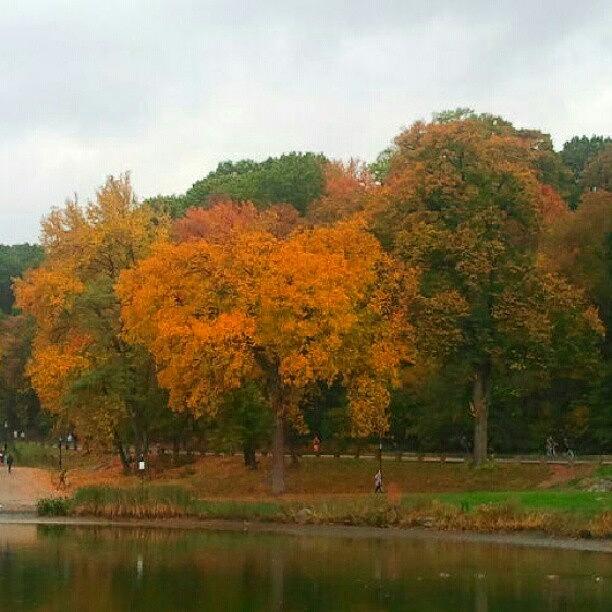 Fall Photograph - Instagram Photo by Christopher M Moll