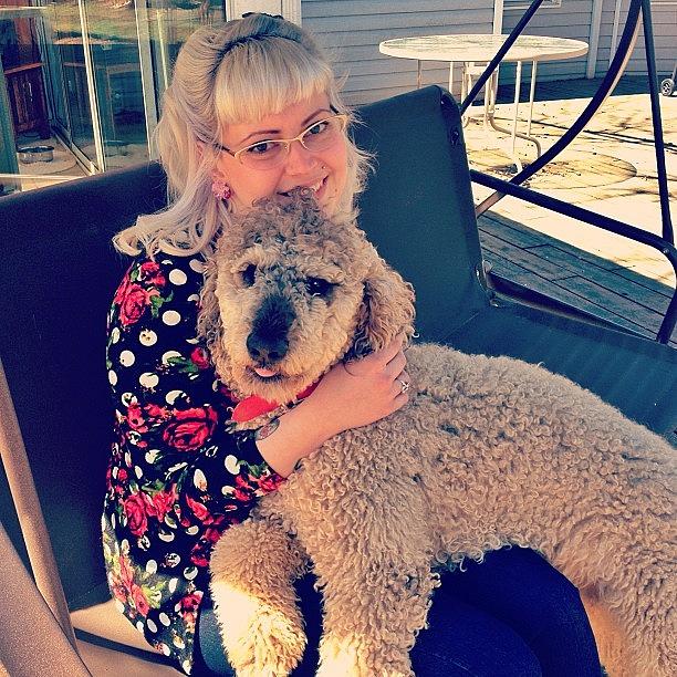 Poodle Photograph - #instalove #poodle #kirby 🐾❤🐾 by Lori Lynn Gager